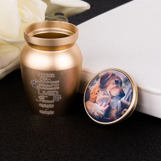 Paw Prints Small Keepsake Urn for Pet