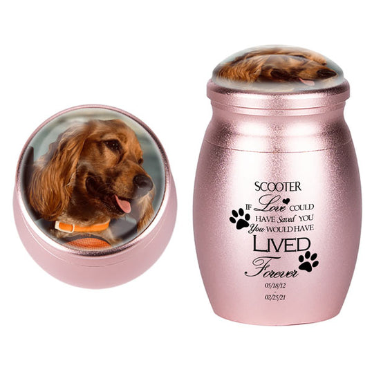 Paw Prints Small Keepsake Urn for Pet